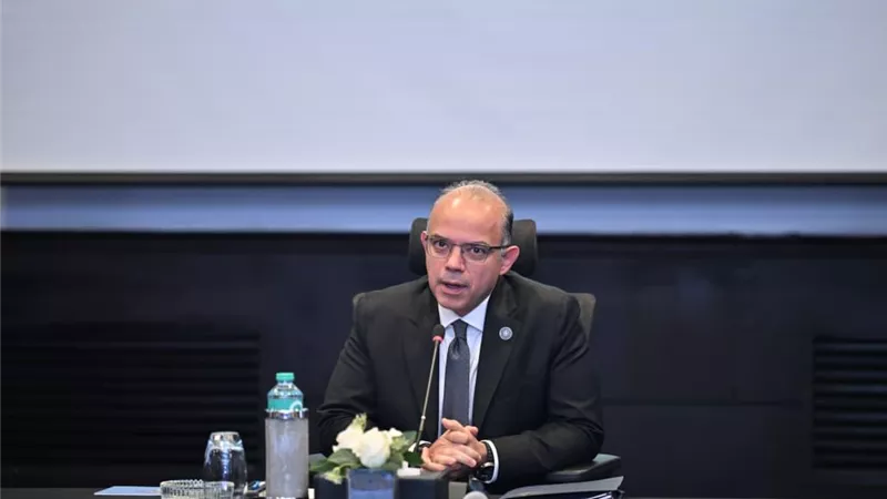 وزير الاستثمار يبحث مع «موانئ دبي العالمية» تعزيز الصادرات المصرية ونفاذها إلى الأسواق الأفريقية   