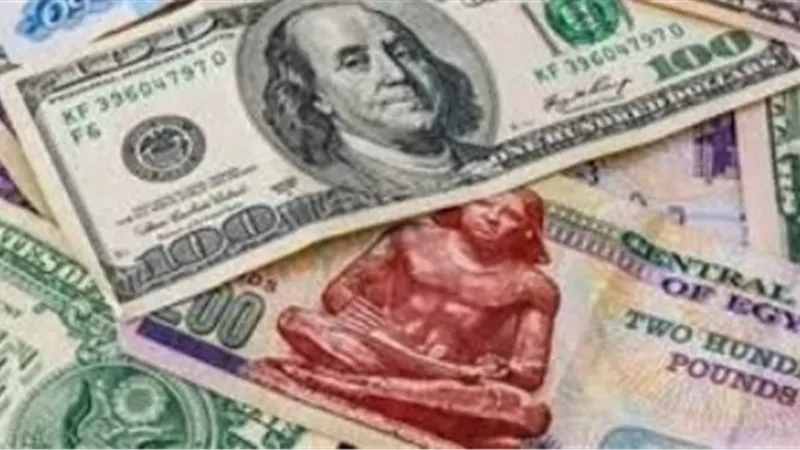 استقرار سعر الدولار أمام الجنيه المصري بالتزامن مع العطلة الأسبوعية للبنوك