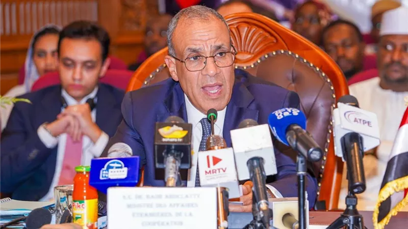 مصر وتشاد تعقدان الدورة الرابعة للجنة المشتركة وتوقعان مذكرات تفاهم لتعزيز التعاون في الصحة والنقل والتعليم والثقافة