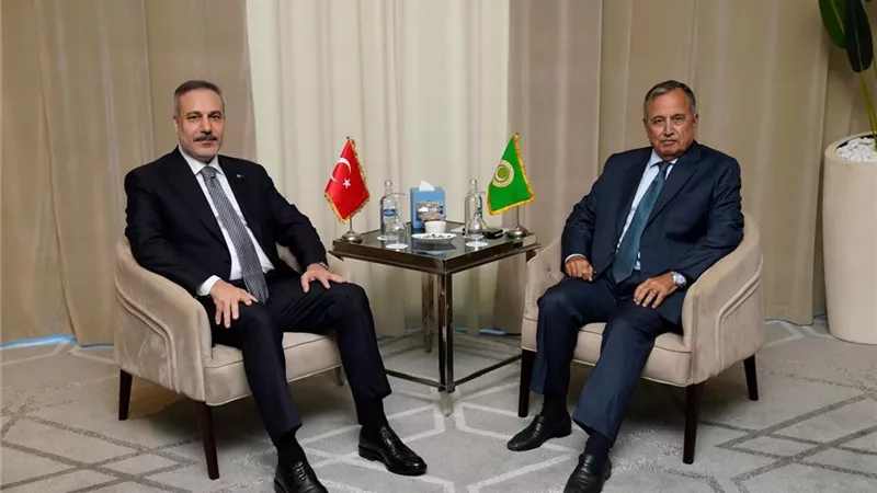 نبيل فهمي يبحث مع وزير الخارجية التركي تطورات المنطقة وتعزيز التعاون العربي التركي
