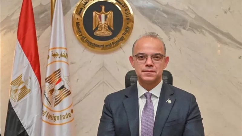 «الرخصة الذهبية» لشركة «نيفير منيا» لتنفيذ محطة طاقة شمسية بقدرة 1000 ميجاوات باستثمارات 750 مليون دولار