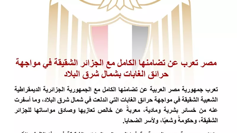 مصر تعرب عن تضامنها الكامل مع الجزائر في مواجهة حرائق الغابات وتقدم التعازي لأسر الضحايا