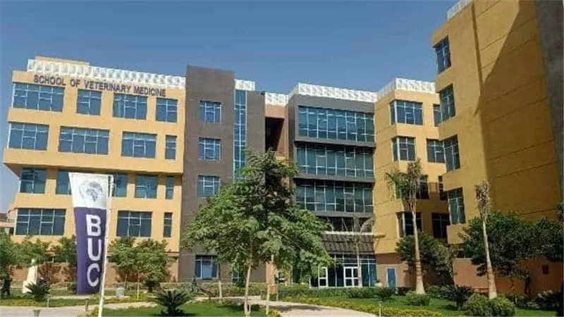 طالبة بجامعة بدر تستغيث بعد مشادة مع عميد خلال حفل تخرجها: «فرحتي اتكسرت»