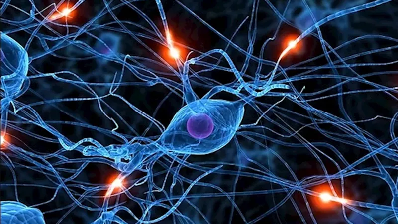 4 علامات تحذيرية تشير إلى وجود مشكلة في الأعصاب وطرق التعامل معها