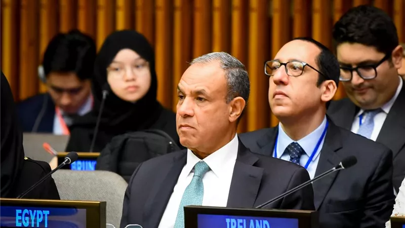 عبد العاطي يؤكد دعم مصر الثابت لحل الدولتين ورفض تهجير الفلسطينيين وضم الأراضي