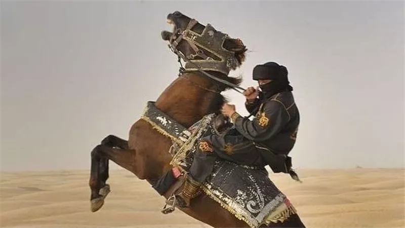 (قصيدة جنون ) للشاعر الليبى محمد الناصر