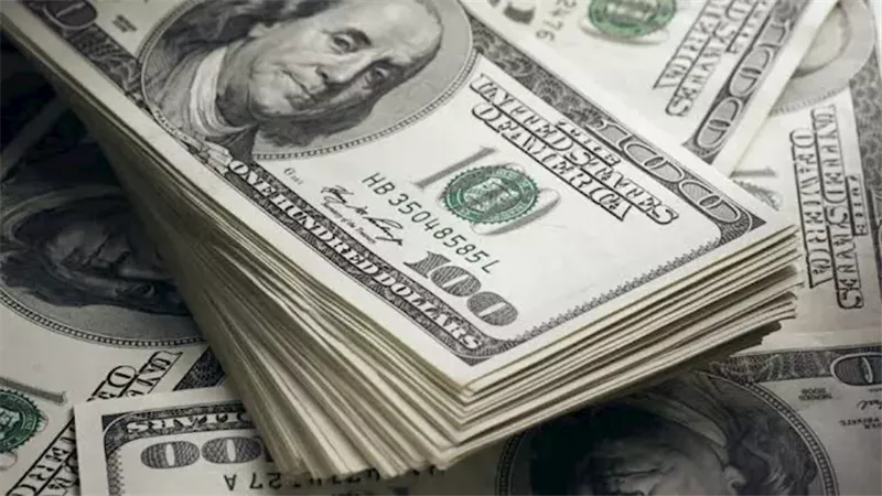  أسعار الدولار مقابل الجنيه المصري اليوم الأربعاء 14 أكتوبر