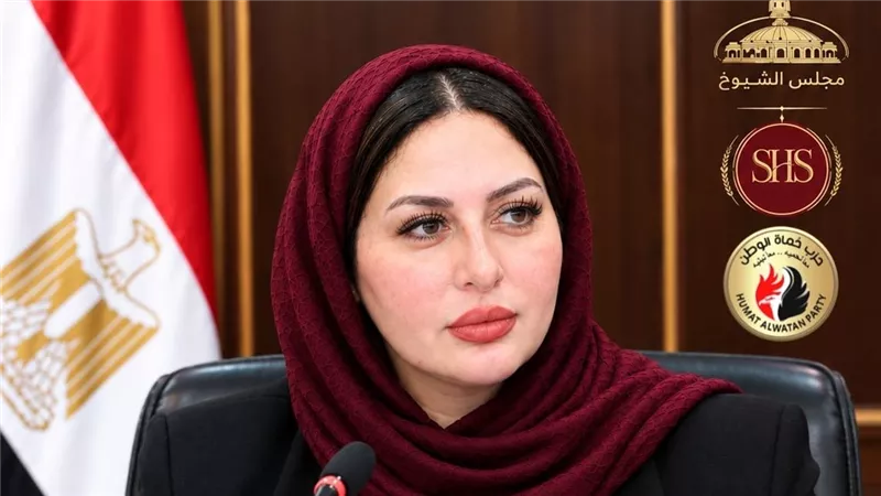النائبة شيرين صبري.. حضور هادئ وشغف بالعمل لا يهدأ