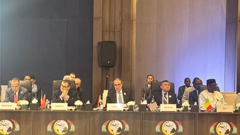 بدر عبد العاطي أمام التعاون الإسلامي: القضية الفلسطينية أولوية مصرية وضرورة خفض التصعيد بالمنطقة