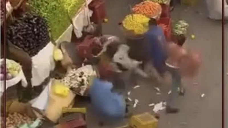 «سلام يا صاحبي» في أسيوط.. خناقة تجار خضار تتحول لمعركة بالباذنجان (فيديو)