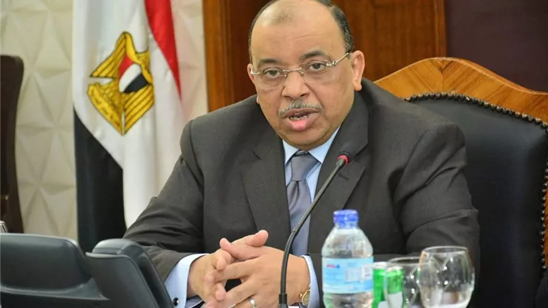 يوم المرأة المصرية| التنمية المحلية: قيادات نسائية يَقُدْن الوحدات المحلية بكفاءة  