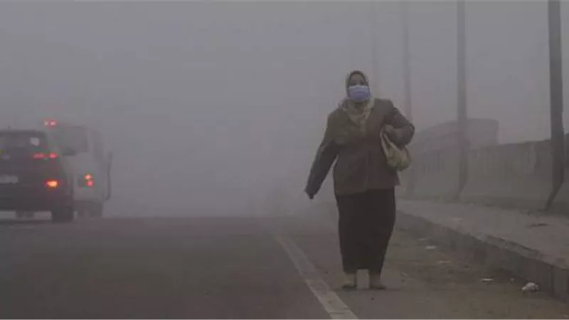 الأرصاد: شبورة مائية على القاهرة والوجه البحري.. وبيان بدرجات الحرارة.. فيديو