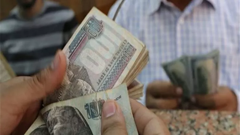 للعاملات بالقطاع الحكومي والخاص.. تعرفي على قيمة الزيادة في الراتب الشهري