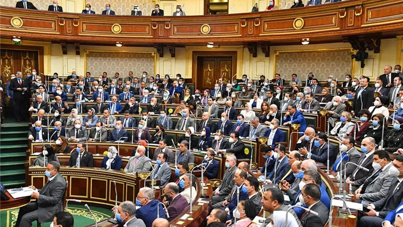 برلمانية: الدستور في عهد السيسي أعاد للمرأة مكانتها المرموقة.. فيديو