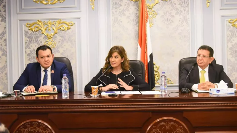 للعائدين من الخارج.. «مكرم» تكشف عن تفاصيل مبادرة «نورت بلدك»