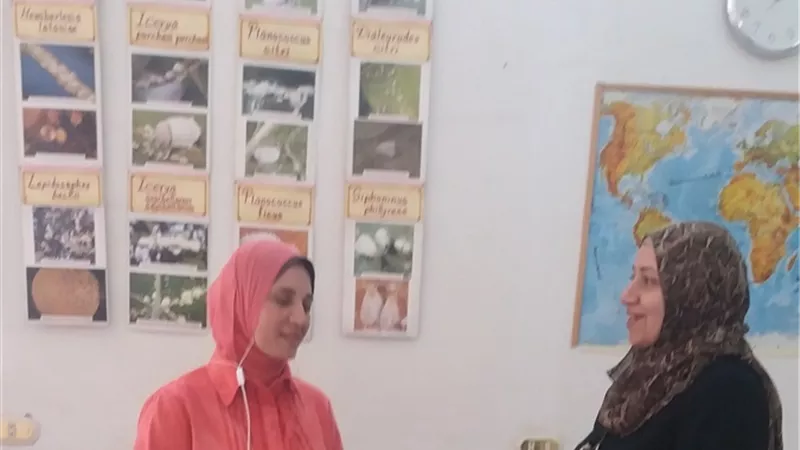 تحبين زراعة النباتات فى المنزل؟ رئيس البحوث يقدم لك نصائح (خاص)