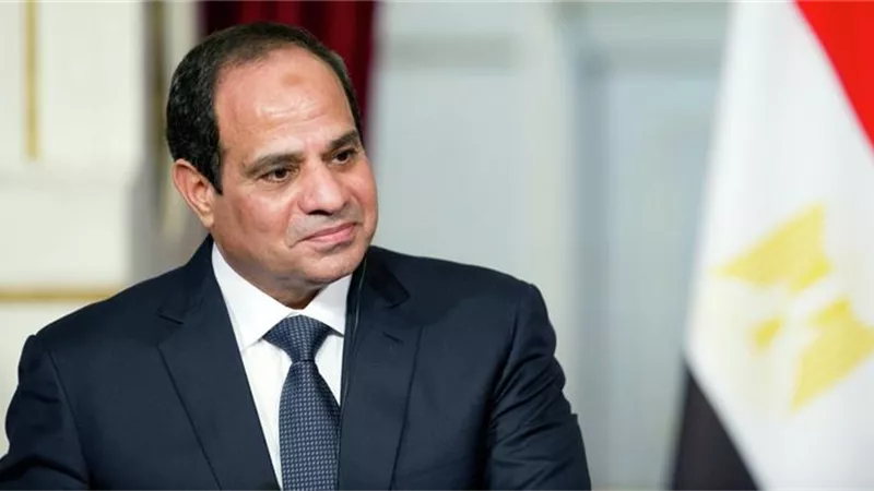 السيسي للأرياف: «ليه بتشتروا تلاجتين للعروسة».. وخبيرة: «عادة خربت بيوت»