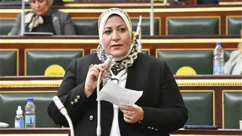 غادة الضبع تكتب: شكرًا سيادة الرئيس 