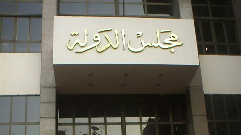 العناني تكشف إيجابيات قانون الأحوال الشخصية الجديد للزوجين.. خاص