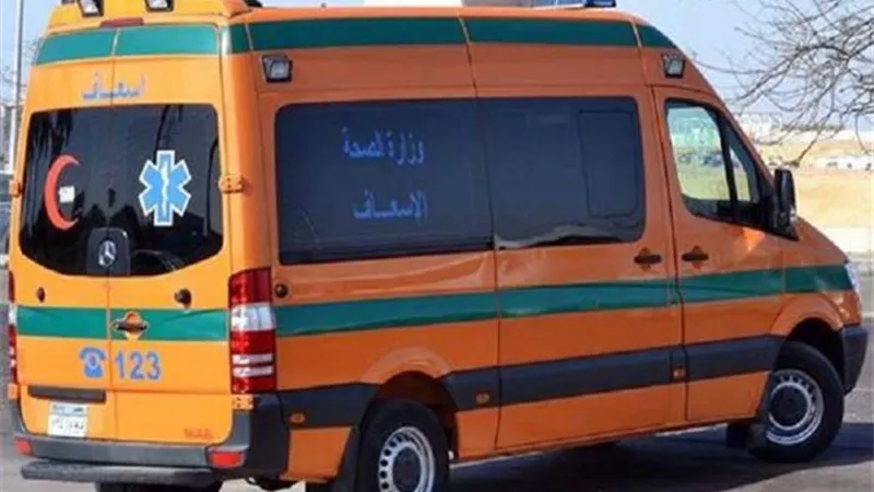 بسبب أهله.. انتحار طفل 10 سنوات في المنوفية 