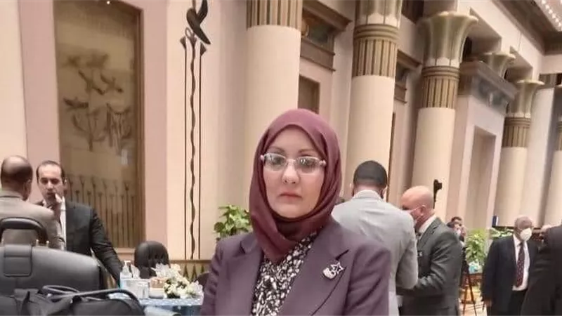برلمانية: التوسع في المشروعات الصغيرة يساهم في تمكين المرأة اقتصاديا.. خاص