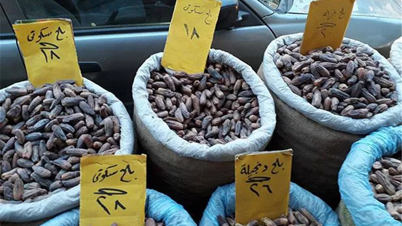 أسعار البلح في سوق العبور اليوم السبت.. والأبريمي بـ 6 جنيهات