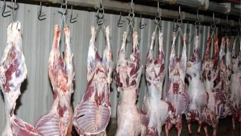 أسعار اللحوم اليوم الثلاثاء 30-3-2021.. الكندوز بـ85 والبتلو بـ90 جنيها