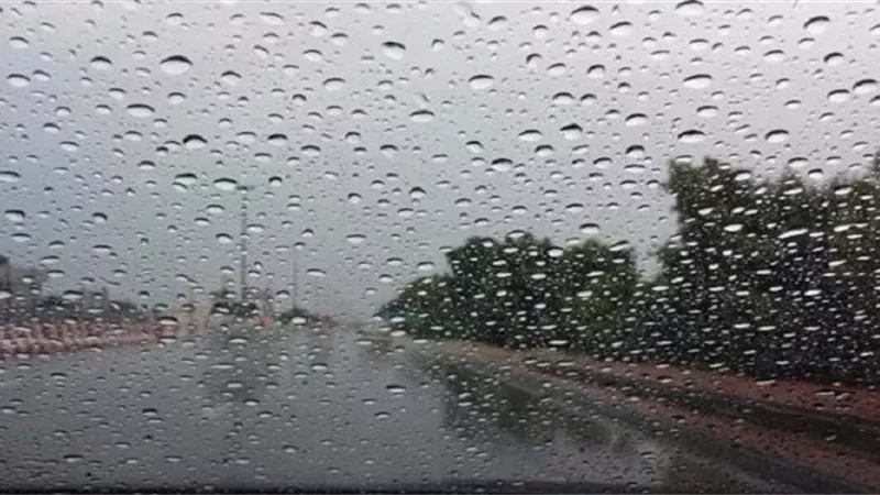 الأرصاد: أمطار خفيفة على الساحل الشمالي وشبورة مائية بمدن القناة.. فيديو