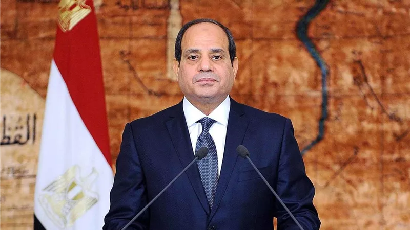 بنك ناصر: الرئيس السيسي تبرع من ماله الخاص للإفراج عن الغارمات.. فيديو