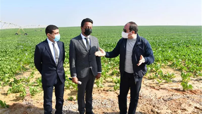 5 معلومات عن مشروع مستقبل مصر بالصحراء الغربية..موسم الحصاد اليوم