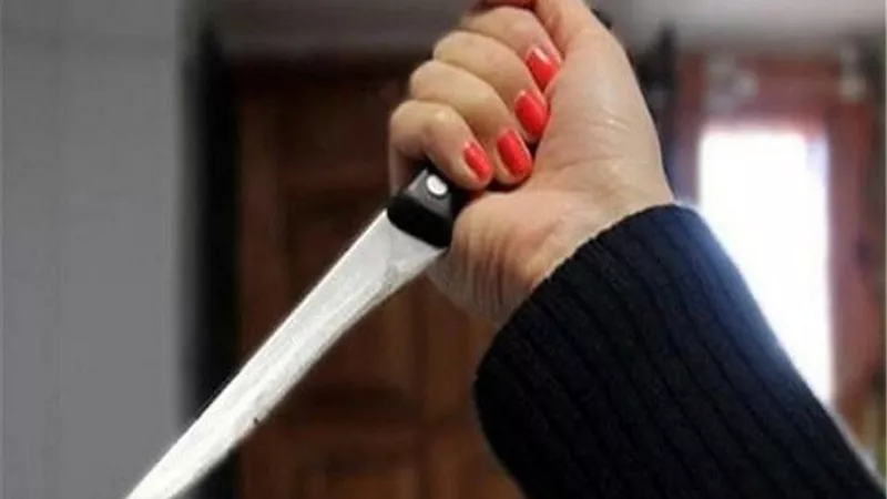 إحالة فتاتي ليل للجنايات قتلا مهندس أثناء سهرة حمراء
