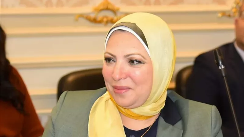 النائبة إحسان شوقى: الرقابة على الأسواق تضمن استقرار الأسعار (خاص)