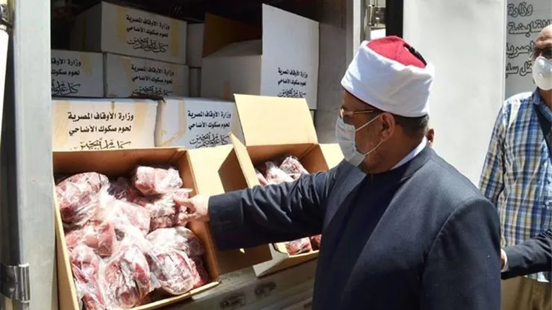  5 معلومات عن مشروع صكوك الأضاحي بالأوقاف..أبرزها ذبح بقر سوداني