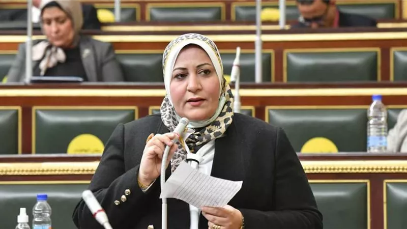 برلمانية لـ«هير نيوز»: المبادرات الرئاسية تسعى لتمكين المرأة اقتصاديا