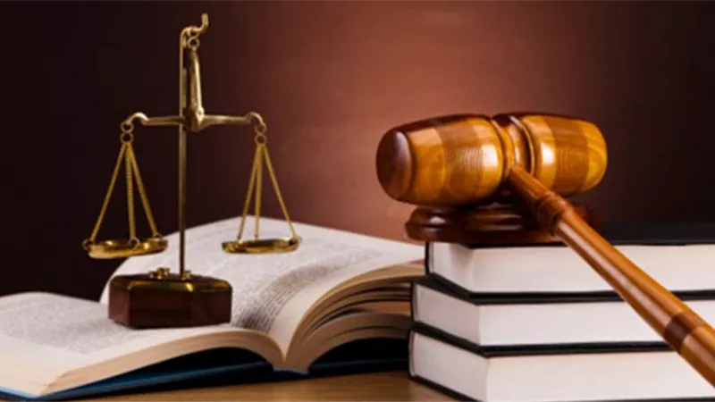 «الأم ماتت والأب عقله طار».. دعوى حجر في محكمة الأسرة