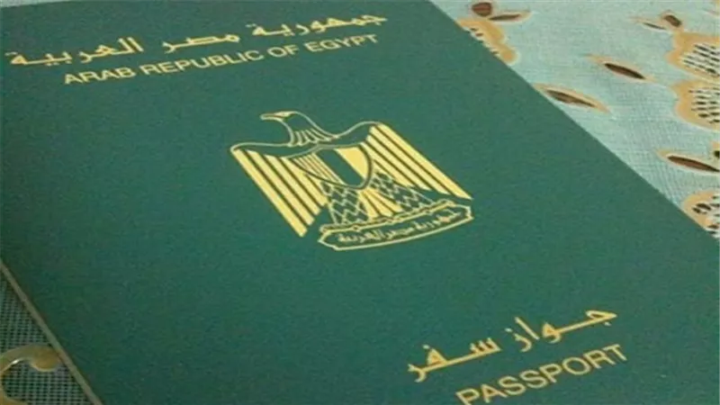إزاي تقدمي طلب إثبات الجنسية المصرية إلكترونيا؟.. خطوات سهلة