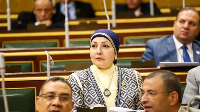 نائبة لـ« هير نيوز»: سأقدم طلب إحاطة لبحث أزمة خريجي الصيدلة 2018 و2019