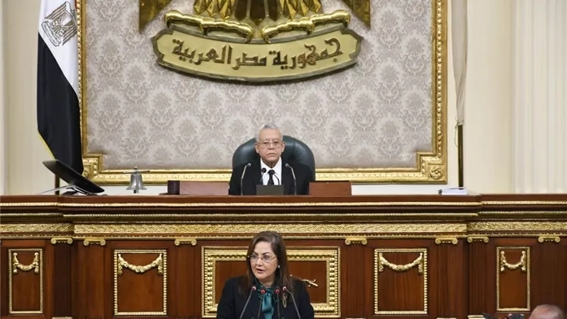تضم 5 محاور.. وزيرة التخطيط تكشف لـ«النواب» خطة مواجهة الزيادة السكانية