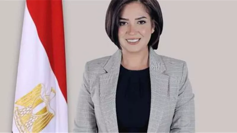 تنسيقية شباب الأحزاب تنعى أميرة العادلي في وفاة شقيقها