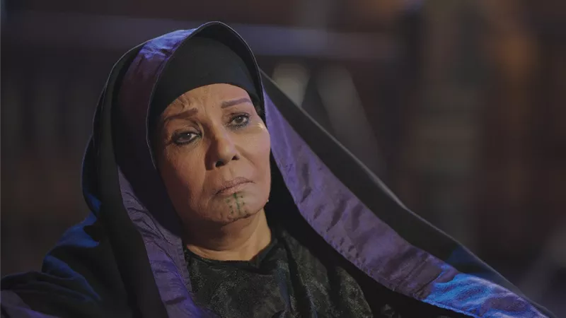 فردوس عبد الحميد: «نسل الأغراب» كشف ضعف الكثير من الأعمال الفنية