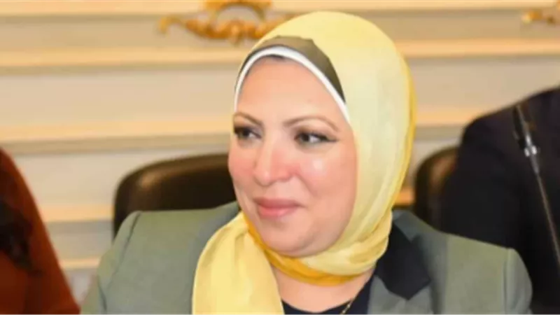 «اقتصادية البرلمان» تناقش طلب إحاطة بشأن إخلاء المجمعات الاستهلاكية