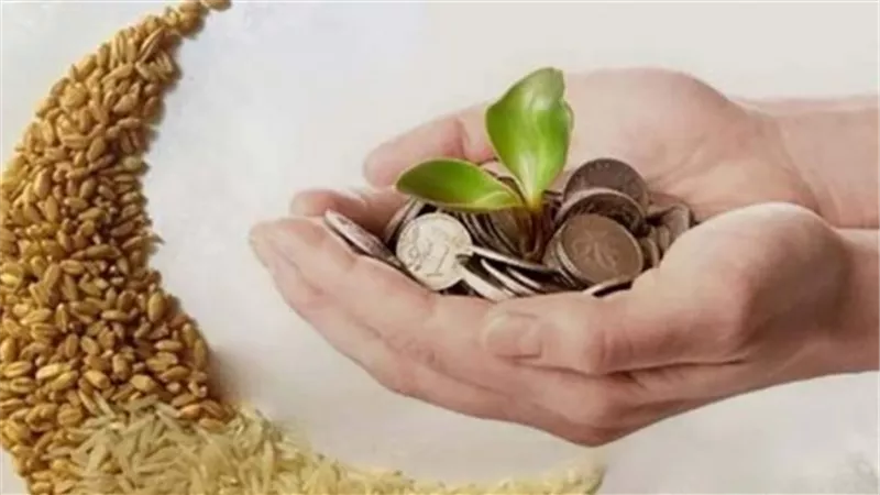 حُكم إخراج زكاة المال للمستشفيات.. لجنة الفتوى توضح الضوابط 