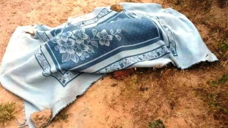 مصرع طفلة سقطت عليها نخلة بسوهاج