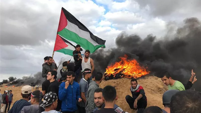 برلماني: الموقف المصري تجاه ما يحدث في غزة 