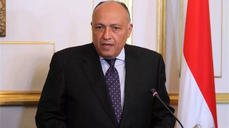 «شكري»: قضية السد الإثيوبي حاضرة في جولات الرئيس السيسي بفرنسا