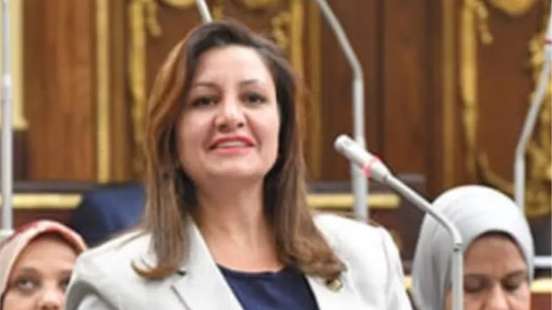 النائبة نجلاء باخوم‏: دعم الرئيس السيسي للقضية الفلسطينية يدعو للفخر