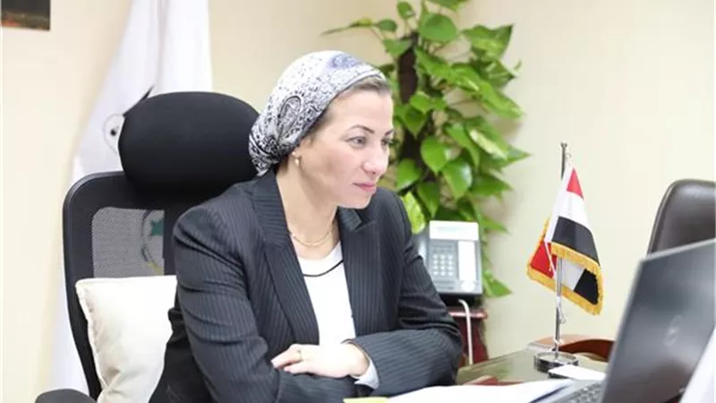 ياسمين فؤاد تناقش مع وزيرة الطاقة البريطانية التكيف لمواجهة تغير المناخ