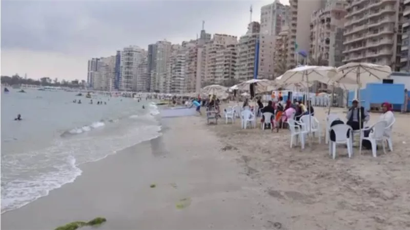 محافظة الإسكندرية تُطلق تطبيق إلكتروني لمعرفة نسبة إشغال الشواطئ| فيديو