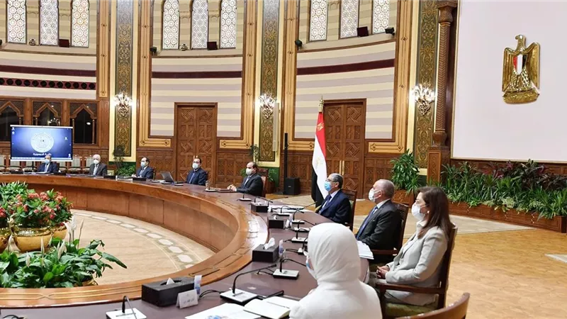 الرئيس السيسي يطّلع على محاور تطوير قرى الريف لتحسين حياة أكثر من نصف سكان مصر