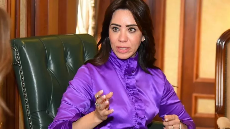 بسبب زيادة شركات التأمين الخاصة.. طلب إحاطة لوزير قطاع الأعمال